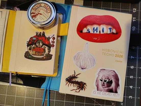 The front of two Hobonichi 2026 planners. One is smaller and has a sticker of a Pokemart by Sushiiboiiiyy. The other has stickers of Divine asking "Is He Dead Yet?", a lipsticked mouth with SHIT written on the teeth in blue, a centipede by the artist CHAN, and a watercolor garlic bulb by Menmin Made.
