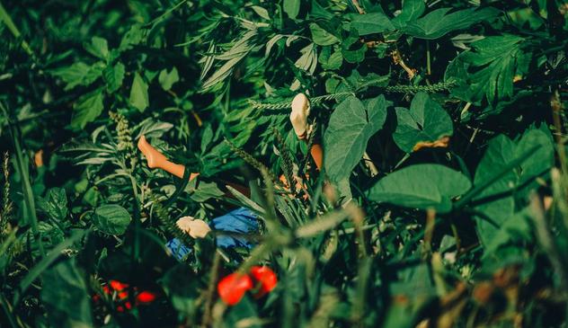 Two dolls (barbie and Ken) barely visible. Cloth seems partially off. We can guess they are "actives".