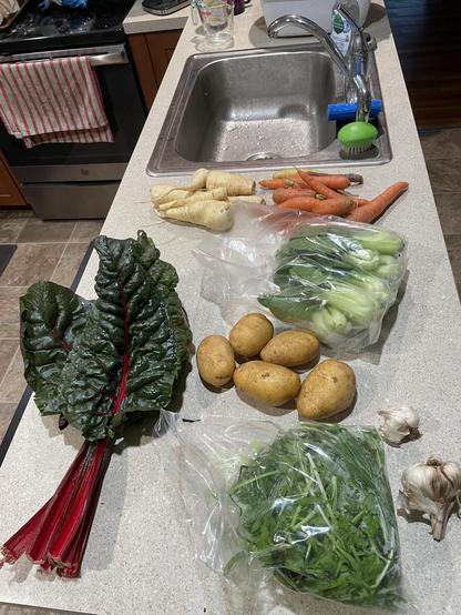 Carrots, parsnips, bok choy, potatoes, chard, garlic, and a bag of greens on a kitchen counter next to a sink.