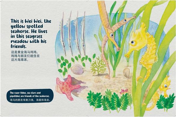 This painting shows four narrow silver razorfish hanging vertically, heads down, a yellow seahorse anchoring with his tail to a blade of tape seagrass, and two bendy inquisitive pipefish. The seahorse & pipefish are eyeing each other with curiosity. On the seabed we see spoon and fern seagrass, a seaweed, the glossy shell of a marine snail, a small red nudibranch and a large knobbly red seastar. The text reads: "This is Wei Wei, the yellow spotted seahorse. He lives in this seagrass meadow with his friends."