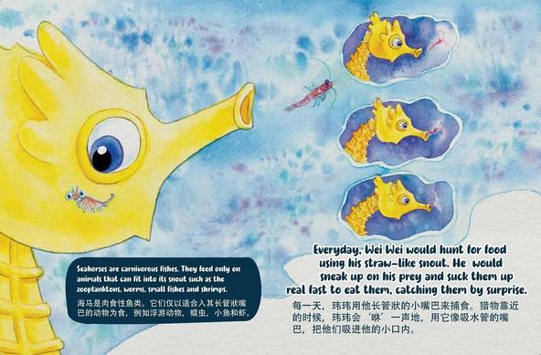 The text says: “Seahorses are carnivorous fishes. They feed only on animals that can fit into its snout such as the zooplanktons, worms, small fishes and shrimps. Everyday, Wei Wei would hunt for food using his straw-like snout. He would sneak up on his prey and suck them up real fast to eat them, catching them by surprise.” The left-hand painting shows the eye of the seahorse on a tiny shrimp. The right shows an action sequence of three images as the shrimp is sucked into the seahorse’s snout.