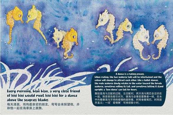 The main text says: “Every morning Wan Wan, a very close friend of Wei Wei, would meet Wei Wei for a dance above the seagrass blades.” Explanatory text adds: “A dance is a mating process. When mating, the two seahorse tails will be intertwined and the colour will change to attract each other. Like a ballet dancer, the male seahorse slowly rotates in the water towards the female seahorse, sometimes rolling its tail, and sometimes letting it stand upright; a ‘love dance’ can last for hours.” The painting shows the happy couple in four stages of the dance.