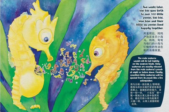 The main text says: “Two weeks later, Wei Wei gave birth to over 100 little ponies. Wei Wei, Wan Wan and their little sea ponies lived happily together.” Explanatory text adds: “The male seahorse would roll its tail tightly on the seagrass blade. Baby seahorses are usually released from the male seahorse’s pouch at night or before dawn. Finally, countless little seahorses will be ejected from its pouch like a fire extinguisher.” The painting shows the two adult seahorses watching the many tiny babies emerge.