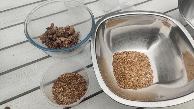 Three bowls of Moreton Bay fig seeds. In the top left are mouldy bits. In the bottom right are the chunks that didn't go through the sieve, and on the right is the material I'm going to work with.

There's maybe just a tablespoon or two of material, and it's got pulp and seeds, but it's cleaner and has less pulp than it had before.