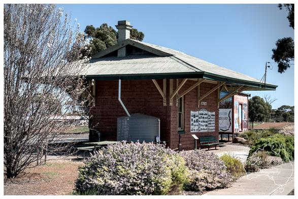 A close up, sunlit photo of the historic Dumbleyung Railway Station building.  The single-story building is constructed of red brick with a wide, gabled, corrugated metal roof that extends out over the platform, supported by light coloured wooden brackets.  A grey water tank sits against the brick wall. To the right of the water tank is an informational display board. In the foreground, there are bushes with small purple flowers.  On the left, a tall, bare tree is visible, and to the right, green foliage and a paved path border the building.