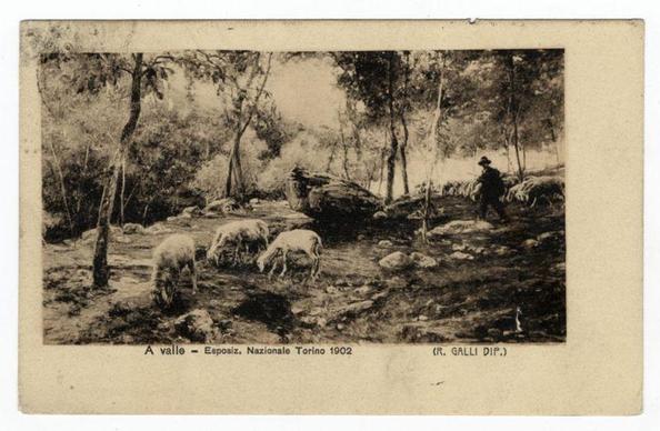 The image depicts a monochromatic scene from an early 20th-century exhibition, labeled "A valle - Esposiz. Nazionale Torino 1902," suggesting it was part of the National Exhibition in Turin held that year. It shows a pastoral setting with several sheep grazing on grass beside rocks and sparse trees under what appears to be an overcast sky. A figure stands amidst these animals, dressed in attire consistent with rural farm labor or herding from around the turn of the century—complete with a wide-brimmed hat for sun protection.

The environment is rustic, indicative of agricultural life during that period, likely captured by R. Galli D'Appollonio as noted at the bottom right corner. The image's tone and detail suggest it may be an old photograph or postcard. Notable features include the clarity with which the sheep are rendered amidst a somewhat blurred natural backdrop, emphasizing their presence within this rural tableau.

Further context about Ferro Candilera can also be found via the provided link for more detailed information on his work in ferro-candela photography— an early form of pictorial photography.