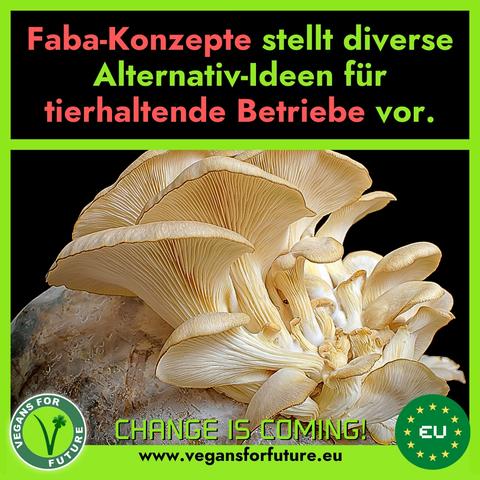 Text:
"Faba-Konzepte stellt diverse Alternativ-Ideen für tierhaltende Betriebe vor."
Auf dem Bild sieht man einen großen Speisepilz auf einer Pilzfarm.