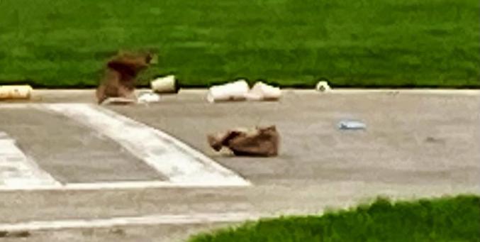 Some ate on the town helipad & then left their garbage behind.