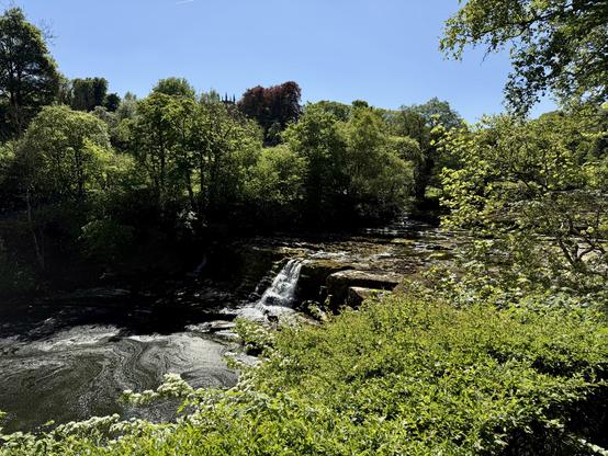 A small waterfall flows over a rocky ledge into a dark, gently swirling river, surrounded by dense green woodland. Sunlight filters through the trees, highlighting the fresh spring leaves and casting shadows across the water. The river continues upstream, bordered by mossy rocks and overhanging branches, while the background rises into a mix of tall trees and distant foliage under a clear blue sky. The scene is calm and natural, with a mix of light and shade giving depth to the landscape.