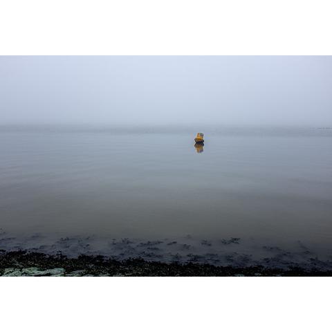 Colourphoto of a buoy in the Wadden Sea (North Sea), province Friesland, Netherlands, January 2025