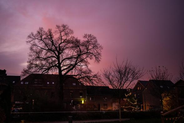 Blick auf das Dorf in dem ich wohne, man sieht einen grossen Baum, dahinter ein paar Häuser. Rechts ist noch der geschmückte Weihnachtsbaum zu erkennen. Die Sonne geht langsam auf, der Himmel scheint in den dafür typischen rot/lila Tönen.