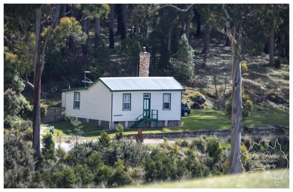 A photograph of a small, one story white and cream cottage with a dark green trim, featuring a brick chimney and a small set of dark green stairs leading to the front door.  The house is situated on a grassy slope, backed by a dense, dark forest of tall trees. A vehicle is partially visible parked on the right side of the house.  The foreground shows various shrubs and trees, with a distinctive light barked tree framing the right side of the image.