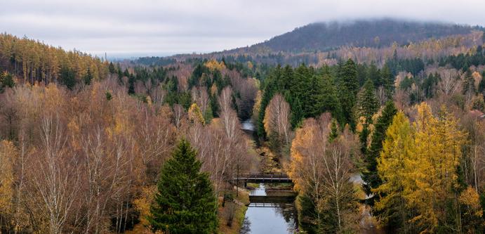 Dies ist eine sehr stimmungsvolle Aufnahme einer Herbstlandschaft, die Ruhe und Weite ausstrahlt. Hier ist eine detaillierte Beschreibung der Szene:
🍂 Die Vegetation und Farben
Das Bild wird von einem dichten Mischwald dominiert, der sich in voller Herbstfärbung zeigt.
Farbpalette: Es gibt ein schönes Zusammenspiel aus den leuchtenden Gelb-, Gold- und Brauntönen der Laubbäume (viele davon scheinen Birken zu sein, erkennbar an den weißen Stämmen) und dem satten Dunkelgrün der Nadelbäume (Fichten oder Tannen).
Struktur: Die Bäume stehen dicht beieinander, wobei einige Laubbäume bereits ihre Blätter verloren haben, was die feinen Verästelungen sichtbar macht.
💧 Das Gewässer und die Brücke
Der Fluss: Durch die Mitte des Bildes zieht sich ein schmaler, ruhiger Flusslauf oder Kanal, der den Blick des Betrachters in die Tiefe des Bildes führt. Das Wasser ist dunkel und spiegelt leicht den grauen Himmel wider.
Die Brücke: Im unteren Mittelgrund überquert eine schlichte, dunkle Holzbrücke das Gewässer. Sie wirkt verlassen und fügt sich harmonisch in die natürliche Umgebung ein.
🌫️ Hintergrund und Wetter
Der Hügel: Im Hintergrund erhebt sich ein bewaldeter Hügel oder kleiner Berg.
Wetterlage: Der Himmel ist wolkenverhangen und grau, was typisch für einen späten Herbsttag ist. Die Kuppe des Hügels im Hintergrund verschwindet leicht im Nebel oder tiefhängenden Wolken, was der Szene eine mystische und etwas kühle Atmosphäre verleiht.
🎨 Gesamteindruck
Das Bild vermittelt eine melancholisch
