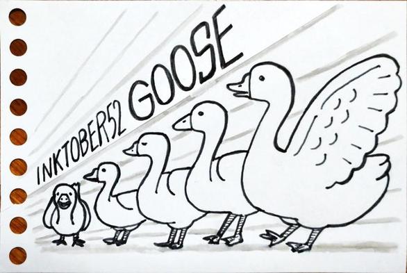 A simple ink drawing. Five geese lined up in perspective. The four in front face left, and the one in the back faces forward. The words “INKTOBER52 Goose” appear at the top.