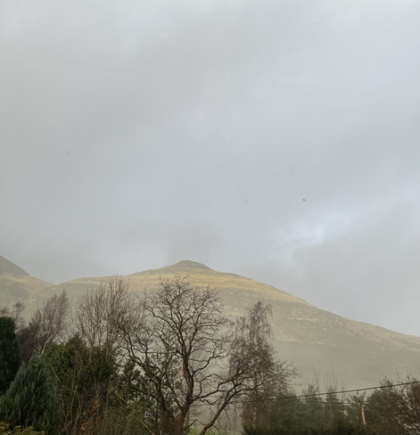 winter trees cut a dramatic silhouette in front of a couple of high hills that, in spite of a heavily clouded sky, are beginning to go golden in the breaking light.