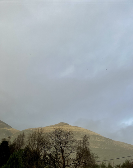 winter trees cut a dramatic silhouette in front of a couple of high hills that, in spite of a heavily clouded sky, are beginning to go golden in the breaking light.