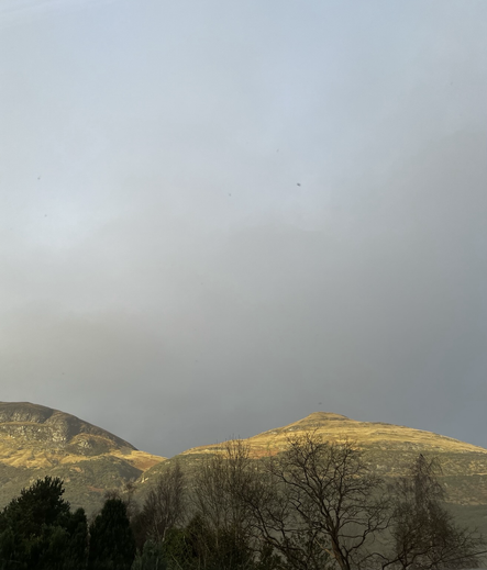 winter trees cut a dramatic silhouette in front of a couple of high hills that, in spite of a misty sky, show their golden tops in the breaking light.