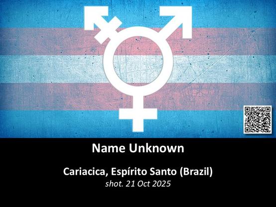 Name Unknown
Cariacica, Espirito Santo (Brazil)
shot. 21 Oct 2025