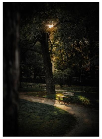 A photograph of a dimly lit, serene park in the late afternoon. A solitary wooden bench is positioned on a gravel path beneath a large, leafy tree. Sunlight filters through the tree's branches, casting a warm, golden glow on the bench and surrounding grass. The background is cast in shadows, with other trees and a faintly visible fence.