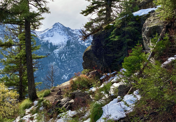 On a steep, wild slope that angles up to the right, a slope covered in boulders, brush, and snow-laden grass, a gap between pine trees reveals a snow-covered mountain, a deep, narrow valley between. The sky is cloudy.