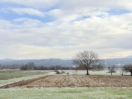 The image shows a cold landscape with fields in front and hills in the back. Everything is covered with a thin layer of ice