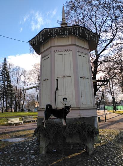 Koira on hypännyt betonisen, suuren kukkalaatikon päälle. Itse kukkalaatikossa on kuusen oksia. Taustalla on wanha kaivorakennus ja näkymää Porvoon kaupunginpuistoon. Aurinko paistaa.