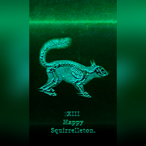 The Happy Squirelleton card from the Cryptica Tarot. It is depicted as a luminous squirrel skeleton on a dark green background, reminiscient of X-rays and other medical scans. The card is numbered as XIII as a reference to the Death card, but has a second phantom X indicating it's true number of 23