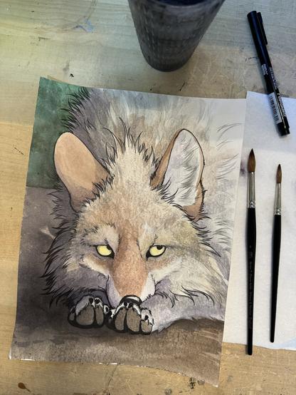 watercolor painting of a wolf laying down, snout resting in paws