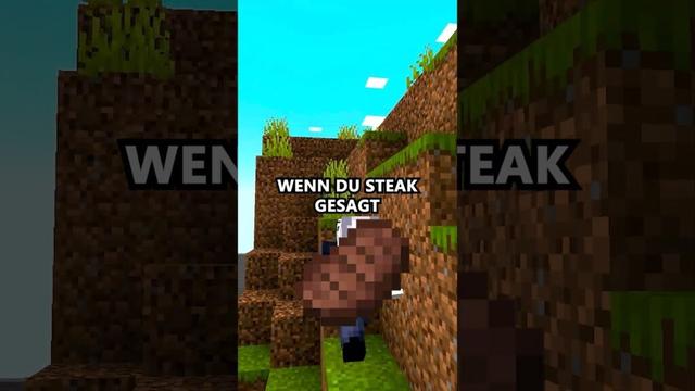 Sage nicht das Gleiche Minecraft #minecraft #shorts