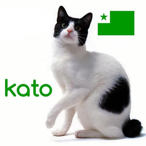 kato