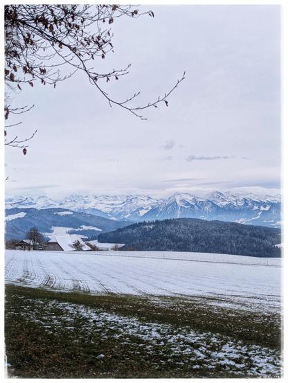 A filed with some snow behind it hills and mountains. Grey sky.