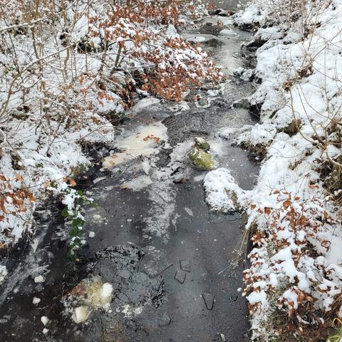 Bach mit gefrorenen Stellen