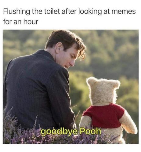 Man looks solemnly at Winnie the Pooh in a field as caption reads “Flushing the toilet after looking at memes for an hour” and bottom text says “goodbye Pooh”—a tearful tribute to bowel movements inspired by meme-fueled toilet marathons.