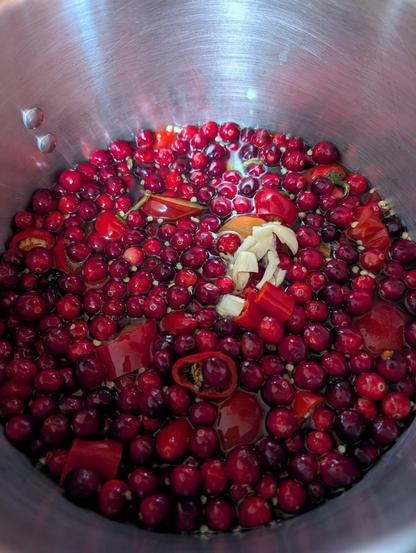 A stock pot with cranberries, hot peppers, garlic and plums. The fruit is floating in a mix of water and vinegar.