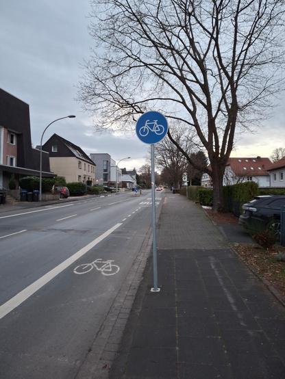 Ein mit Zeichen 237 (Radweg) gekennzeichneter Seitenstreifen einer zweistreifigen Straße. Auf dem Seitenstreifen, der mit Breitstrich von der Fahrbahn getrennt ist, befindet sich ein Fahrradpiktogramm. Nach ungefähr drei Metern endet der Breitstrich und geht in eine gestrichelte Linie über, die ung. 20 m weiter durch BUS-Schriftzüge unterbrochen ist. Dort befindet sich auch eine Mittelinsel.