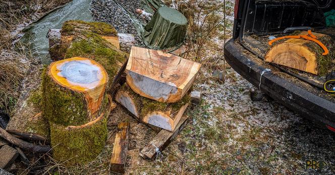 Cuts of thick branches from the large pollarding ash tree lie one above the other, stacked in a pile in the left of the picture. Some round, some cut lengthwise – the dark heartwood becomes clearly visible and exciting. The blanks lie in front of a frosty pile of crushed stone visible under a cracked green plastic tarpaulin. On the right, the last cut lies in an open van. An orange timber claw, a "bear" as we say, lies slung on top of it.

Norsk tekst: Kapp av tykke greiner fra det store asketreet ligger over hverandre, stablet i haug til venstre i bildet. Noen runde noen kappet på langs slik at den mørke kjerneveden blir tydelig spennende. Emnene ligger foran en rimete haug med pukk synlig under en sprukken grøn plastpresenning. Til høyre det siste kappet ligger i en åpen varebil. En orange tømmerklo, en «bjønn» som vi sier, ligger henslengt ovenpå den.
