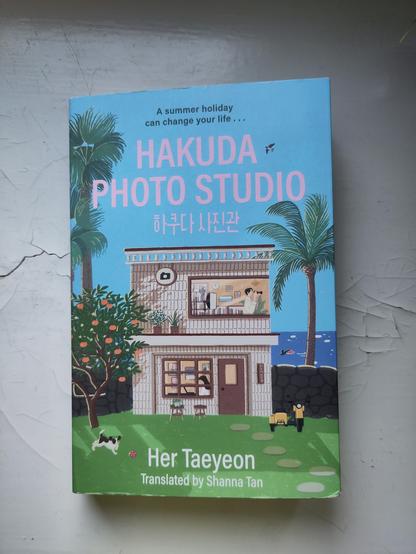 Kirjan piirretyssä kansikuvassa kaksikerroksinen rakennus, jossa on sisällä kaksi ihmistä eri kerroksissa. Taustalla meri, palmupuita, sekä pihalla skootteri sekä koira leikkimässä pallolla.