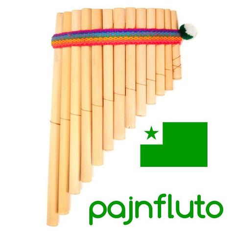 pajnofluto