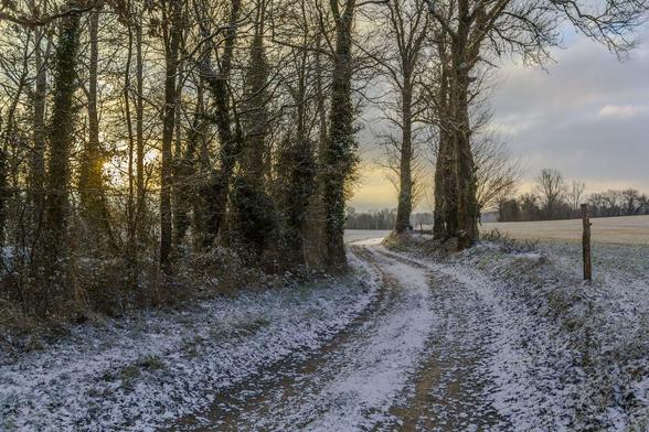 chemin sous la neige avec un couché de soleil derrière les arbres