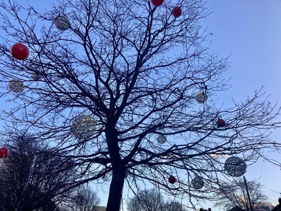 A tree festooned with huge red and silver baubles is black against the darkening blue sky