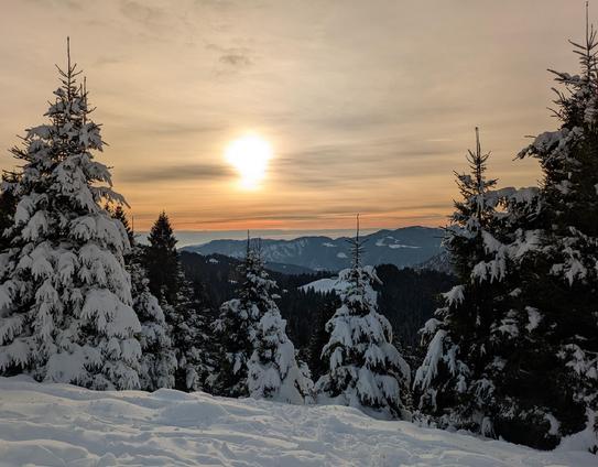 Il tramonto raffigurato nell'immagine è uno spettacolo mozzafiato in un paesaggio montano invernale.
Il sole, un globo luminoso e intenso, è basso sull'orizzonte, proiettando una luce calda e dorata. Il cielo è dipinto con tonalità di giallo, arancione e sfumature di azzurro e bianco. Man mano che il sole tramonta, i colori passano da un arancione brillante a tonalità più tenui. 
Il primo piano e le montagne circostanti sono ricoperti da uno spesso strato di neve fresca. Gli alberi sempreverdi, probabilmente abeti rossi o abeti, sono pesantemente carichi di neve, creando un netto contrasto con il cielo luminoso.