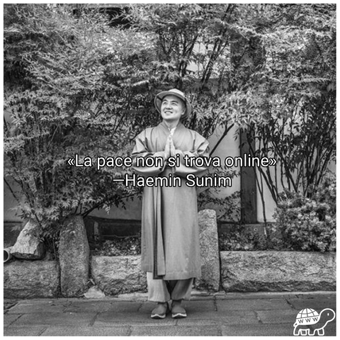 Frase di Haemin Sunim:"La pace non si trova online"