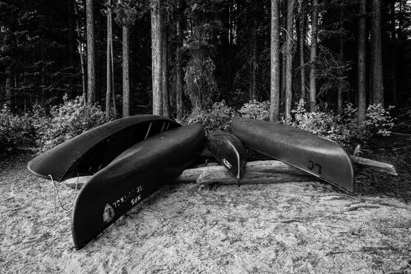 Four canoes upside down on top of a log, on the shore of Leigh Lake.