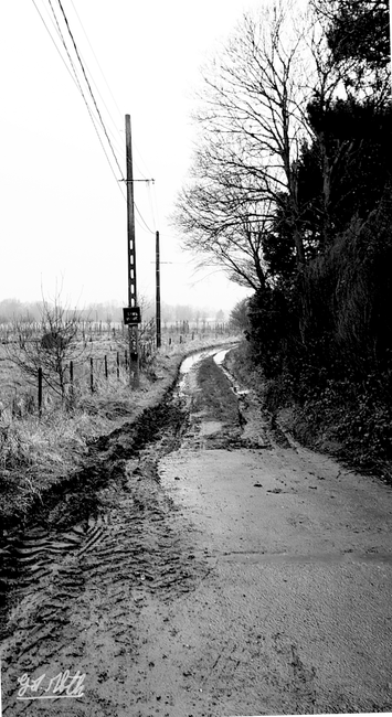 Chemin boueux de campagne
Muddy country road