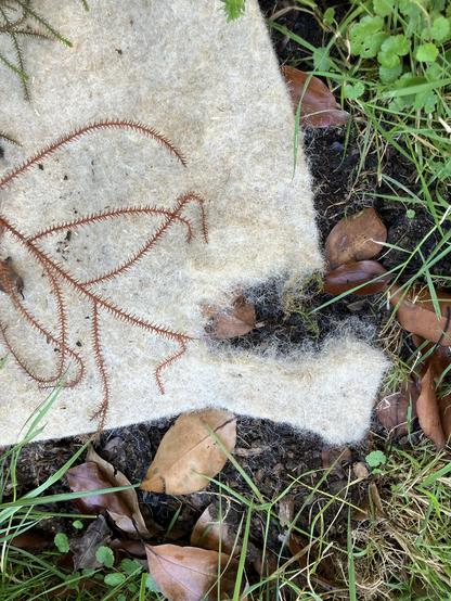 Shredded corner of a hemp square
