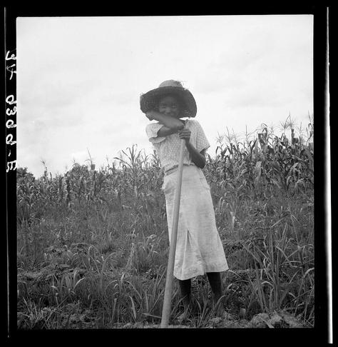 The photograph is a black and white image showing an individual standing in what appears to be agricultural fields. The person, whose gender isn't specified but could potentially be female based on attire and posture, wears a wide-brimmed straw hat and long-sleeved cotton dress that suggests rural workwear suitable for protection from the sun's rays during farming tasks.

In their hands is held an elongated tool with a handle; it resembles a hoe or similar garden implement commonly used in cultivation activities. The fields are filled with tall, mature crops, most likely corn given its height and structure, which reach up to approximately half of the individual's body length. These plants suggest late summer harvest time.

The sky is overcast without direct sunlight visible on either subject or crop, indicating potentially cloudy weather conditions during this outdoor work scene. The photograph has a grainy texture typical for vintage black-and-white photographs from early 20th-century America and carries with it an air of historical documentation that captures everyday life within the Mississippi Delta region.

There is no explicit context provided about why exactly this image was captured, but such scenes were often documented to reflect rural American work conditions. The photograph may have been taken by Dorothea Lange (1895-1965), a renowned photographer known for her work documenting America during the Great Depres [...]