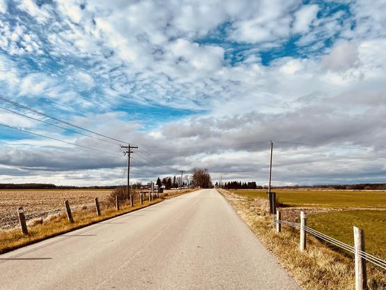 Looking down a near-November rural side road from the flight deck of a gravel bike. Ahead: robin's egg blue and eggshell white skies, amber stubbled grasses and fields and a grey ribbon of arrow-straight road off into the unknowable.