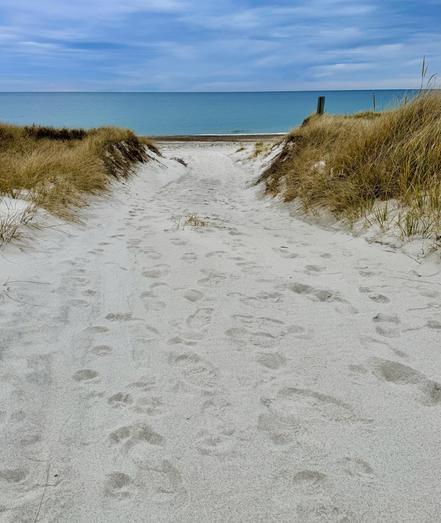 Photo of ocean as viewed from sandy peninsula as we approached the shoreline. Grass on each side of sandy trail. Dark stormy clouds overhead.