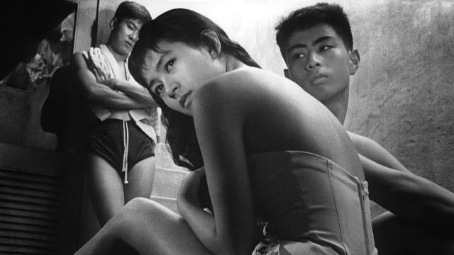 Two brothers fall for the same beautiful girl, whose charm and looks may hide more than they bargained for.