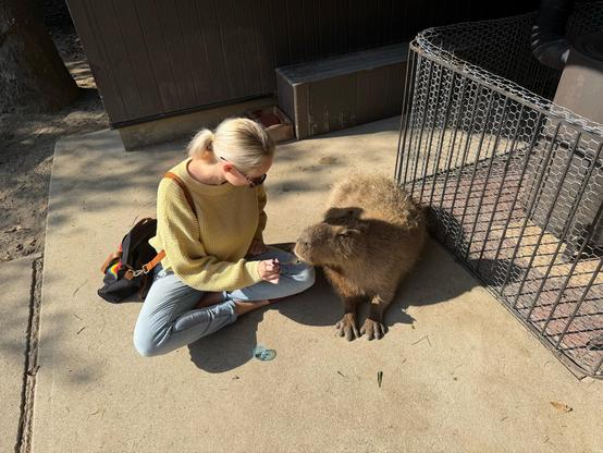 Blonde woman feeding a capybara with a spoon
